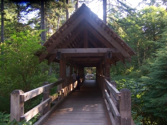 Silver Falls State Park In Sublimity Oregon Kid Friendly