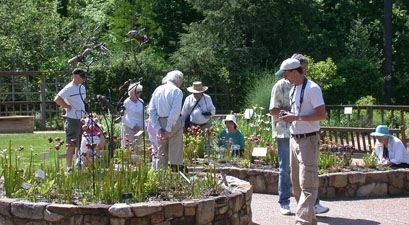 North Carolina Botanical Garden In Chapel Hill North Carolina
