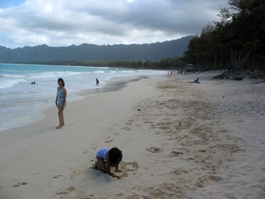 Bellows Beach In Waimanalo Hawaii Kid Friendly Attractions