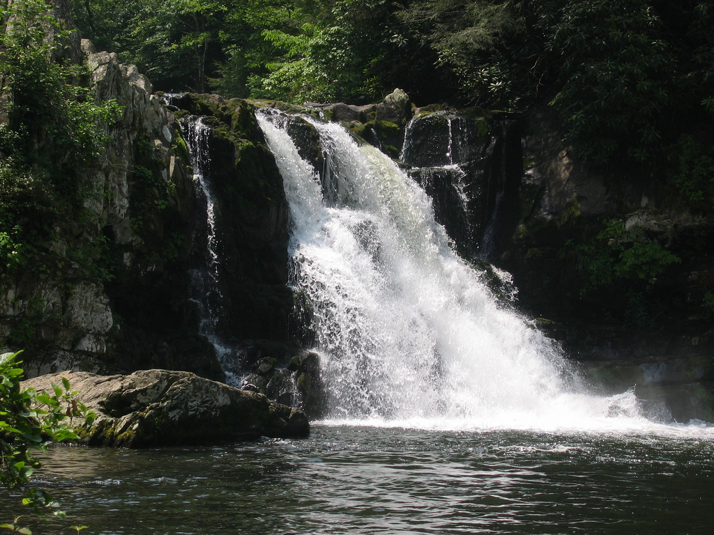 Meigs Falls in Gatlinburg, Tennessee - Kid-friendly Attractions | Trekaroo