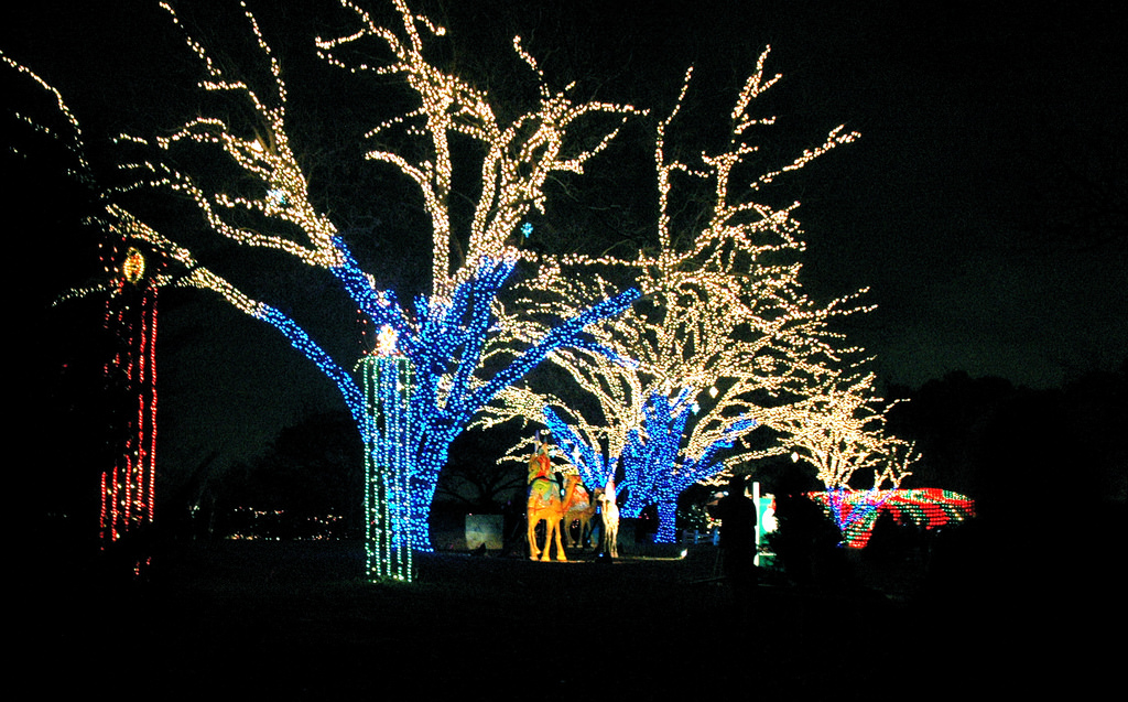 Zilker Park Trail of Lights in Austin, Texas Kidfriendly Attractions