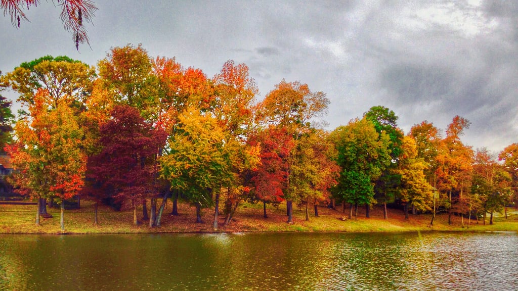 Fall Foliage- Hwy 14 From Tyler To Winnsboro in Tyler, Texas - Kid ...