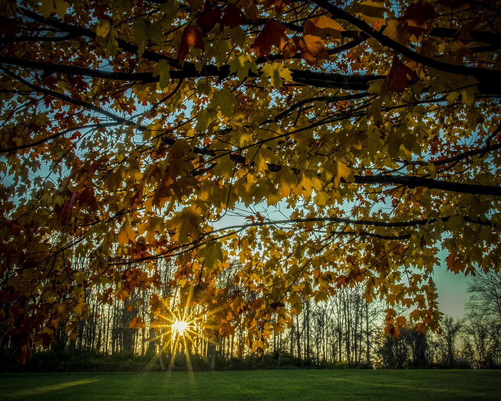 family-friendly-state-parks-in-pennsylvania-trekaroo