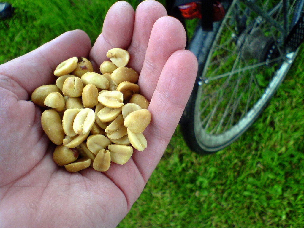 Aubrey Peanut Festival in Aubrey, Texas Kidfriendly Attractions