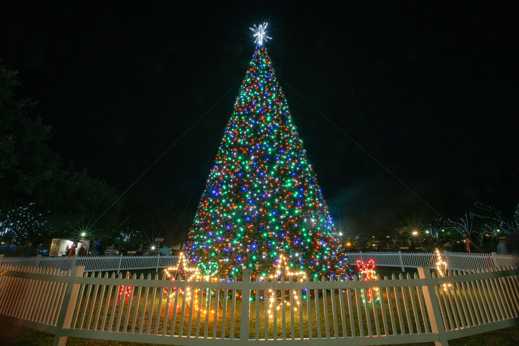 Holiday events around Tampa Bay, Florida | Trekaroo