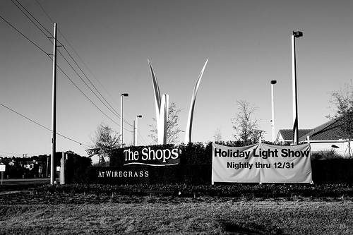 The Shops at Wiregrass  Florida's Sports Coast
