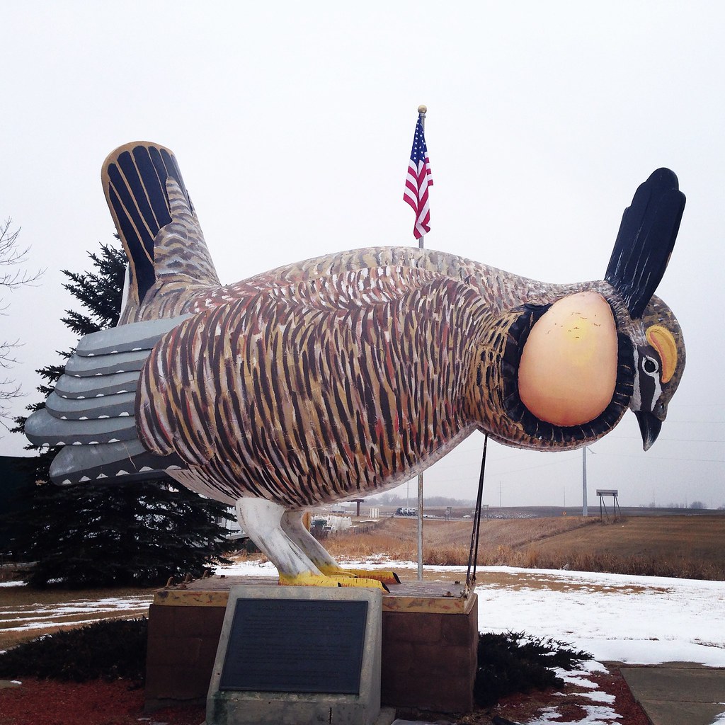 World's Largest Booming Prairie Chicken in Rothsay, Minnesota - Kid ...