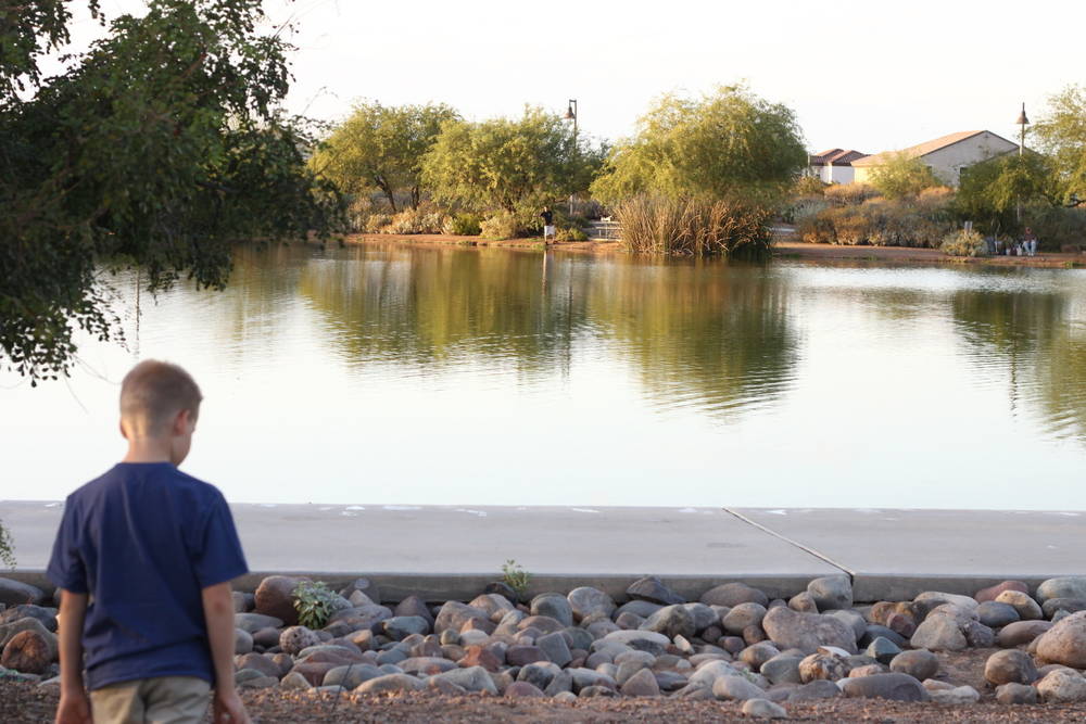 Phoenix Area - Urban fishing ponds for kids