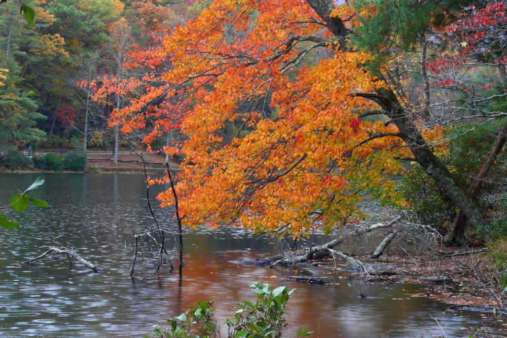 great-family-friendly-festivals-near-philadelphia-trekaroo