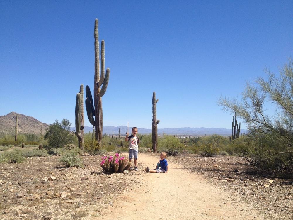 kid-friendly-hikes-near-phoenix-arizona-trekaroo