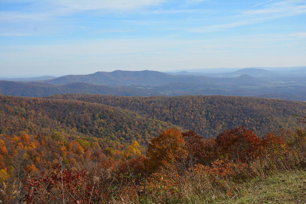 Best Trails in Shenandoah National Park for Families | Trekaroo