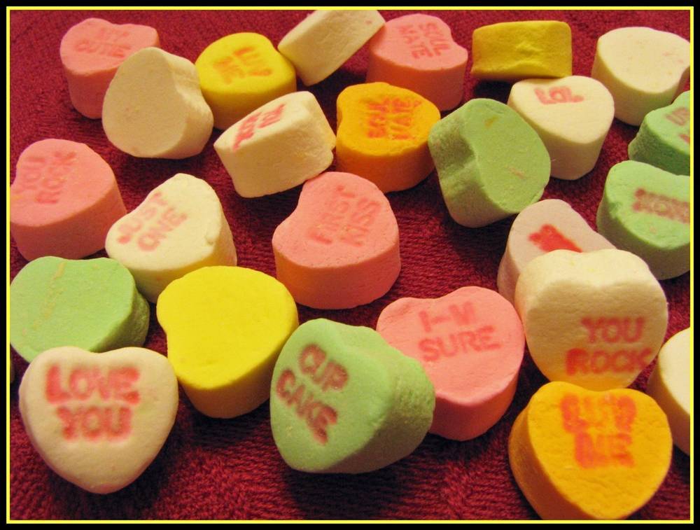 Valentine's Day Activities in the San Francisco Bay Area | Trekaroo