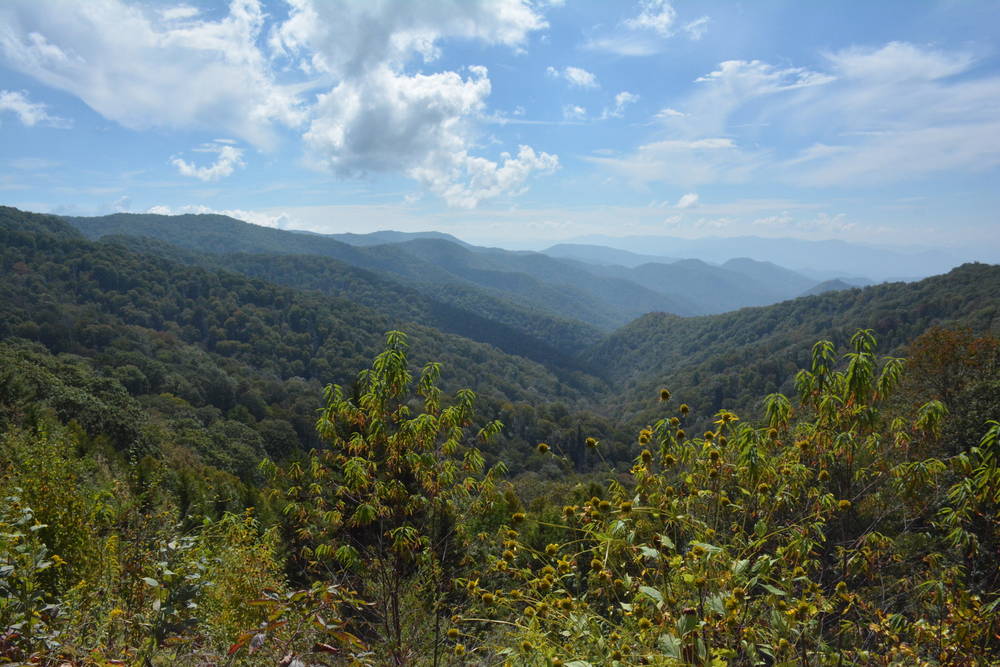 Bryson City and North Carolina's Great Smoky Mountains National Park