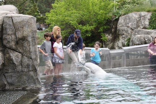 Mystic Aquarium Encounter Programs in Mystic, Connecticut - Kid ...