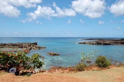 Kid-friendly Tide Pools on Oahu, Hawaii | Trekaroo