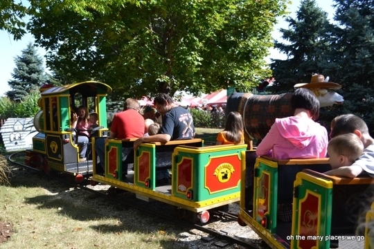 Bengston's Pumpkin Farm in Lockport, Illinois - Kid-friendly ...