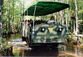 babcock swamp buggy tour