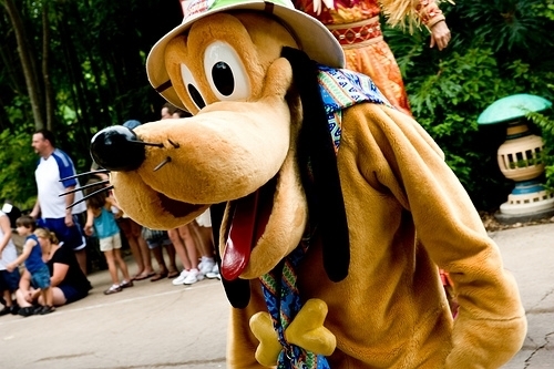 Mickey's Jammin' Jungle Parade - Disney's Animal Kingdom - CLOSED in Lake  Buena Vista, Florida - Kid-friendly Attractions | Trekaroo