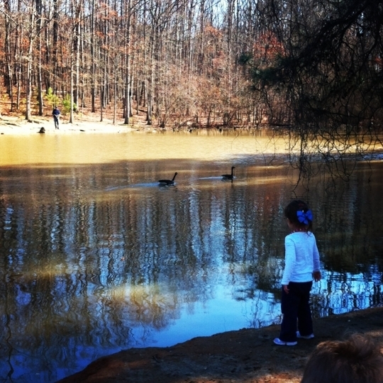 Dupree Park in Woodstock, Kidfriendly Attractions Trekaroo