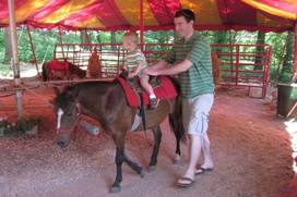 Southwick’s Zoo in Mendon, Massachusetts - Kid-friendly Attractions