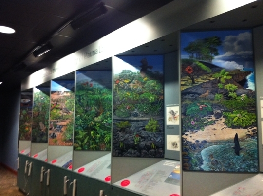 Kilauea Visitor's Center at Hawaii Volcanoes National Park in Hawaii