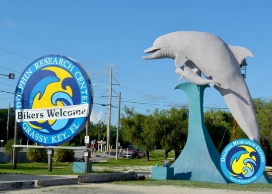 Dolphin Research Center - Marathon, Florida