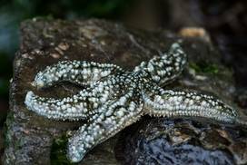 George B. Dorr Museum Of Natural History In Bar Harbor, Maine - Kid ...