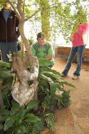 Dallas World Aquarium in Dallas, Texas - Kid-friendly Attractions