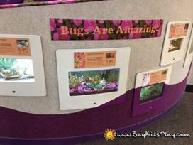 Palo Alto Junior Museum and Zoo in Palo Alto, California - Kid-friendly