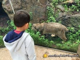 Palo Alto Junior Museum and Zoo in Palo Alto, California - Kid-friendly