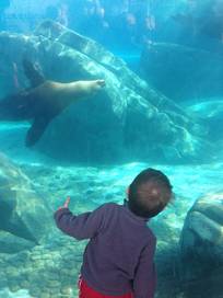 Saint Louis Zoo in Saint Louis, Missouri - Kid-friendly Attractions | Trekaroo