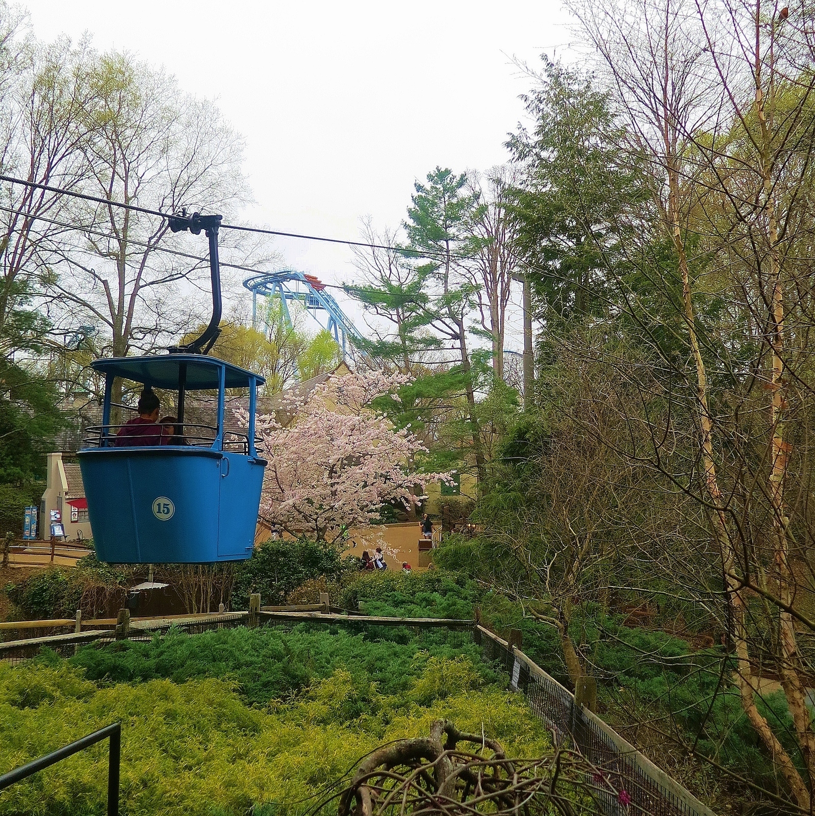 Busch Gardens Williamsburg In Williamsburg Virginia Kid