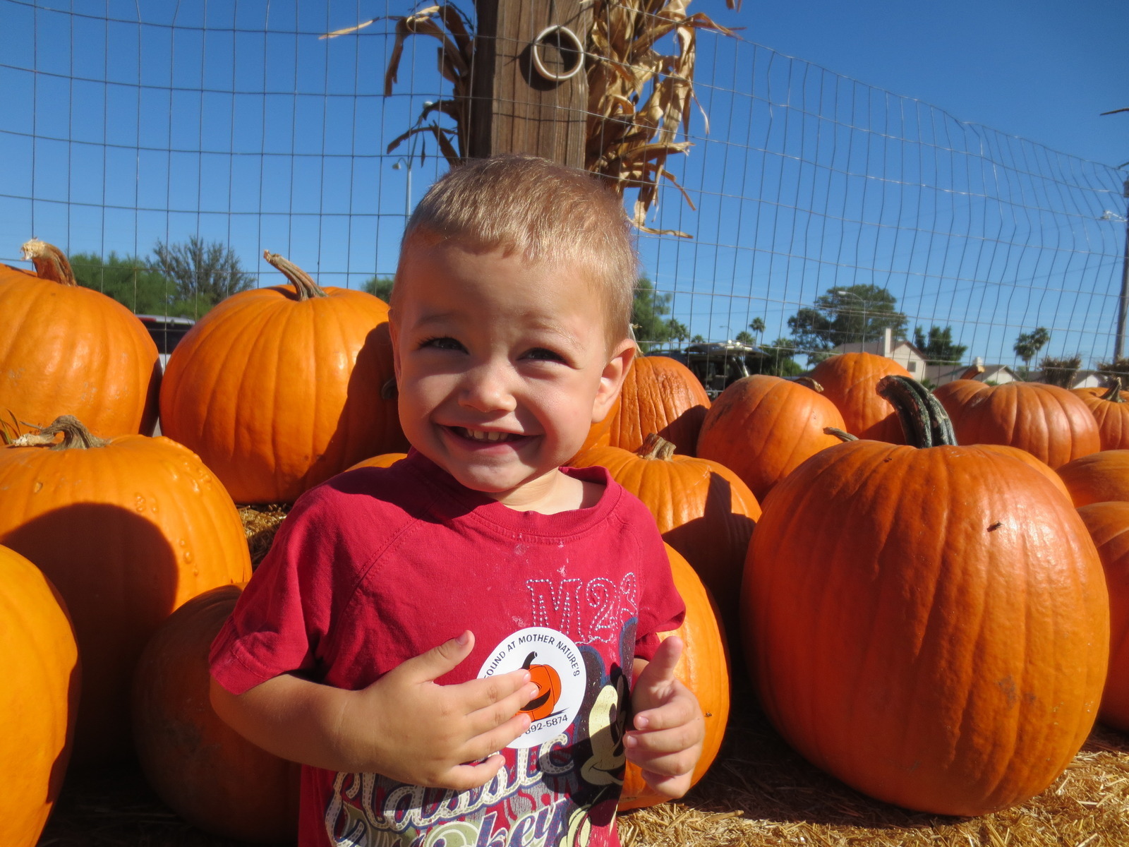 Mother Nature's Farm in Gilbert, Arizona Kidfriendly Attractions