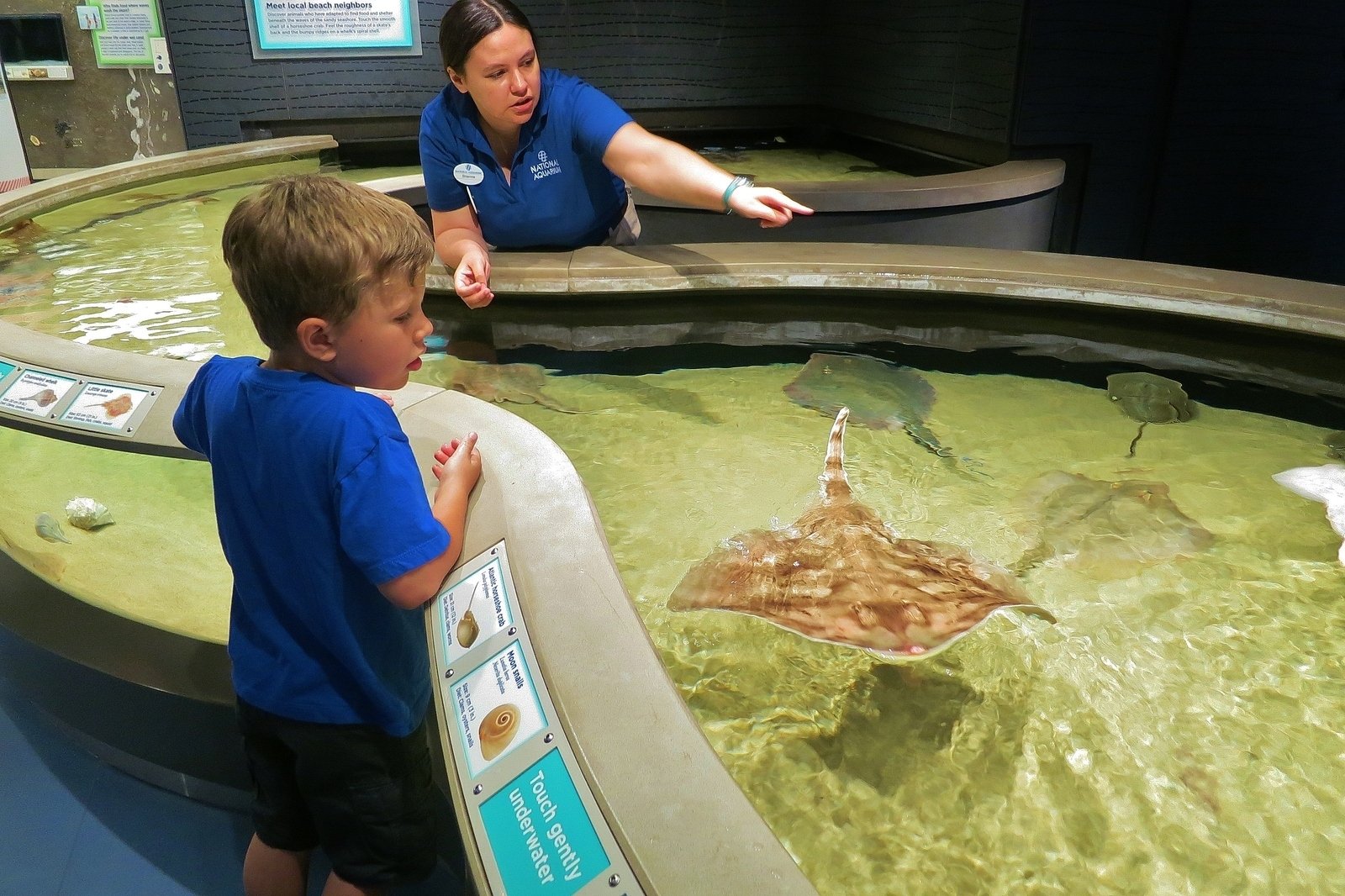 National Aquarium In Baltimore