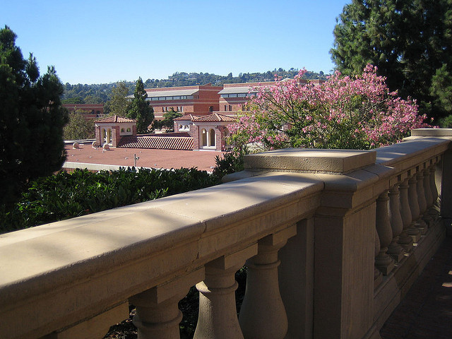 Fowler Museum at UCLA in Los Angeles, California - Kid-friendly ...