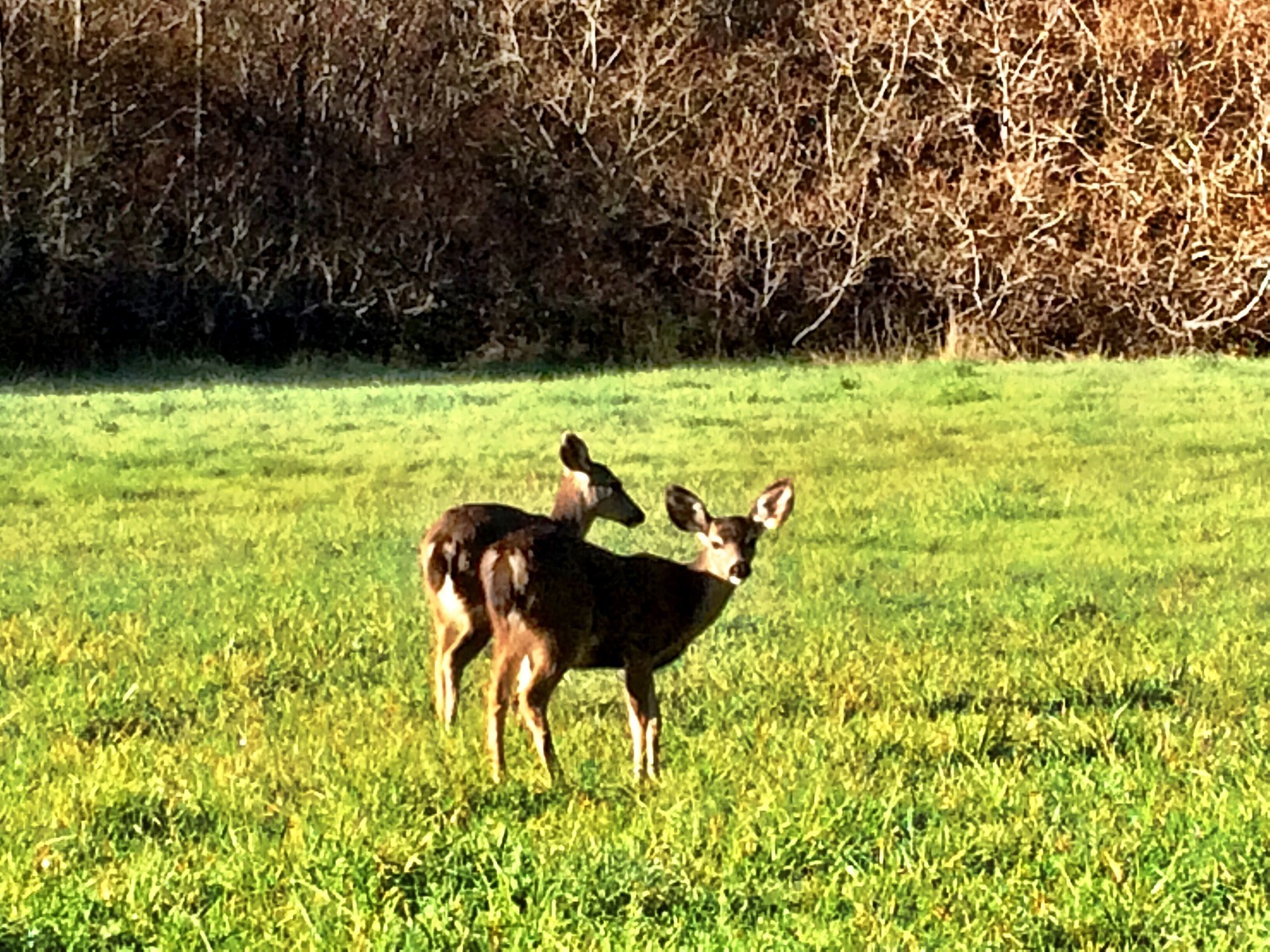 San Pedro Valley County Park in Pacifica, California - Kid-friendly ...