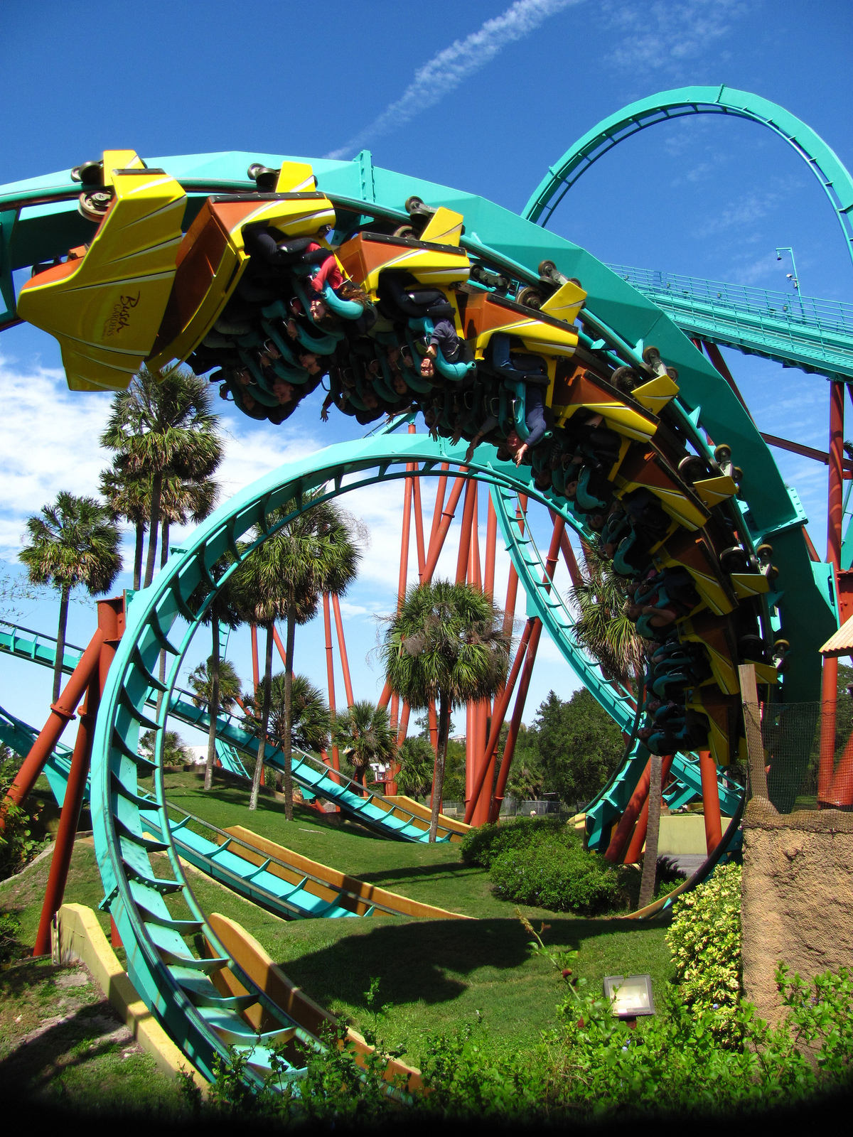 Busch Gardens Thrill Seaker Tour In Tampa Florida Kid Friendly Attractions Trekaroo