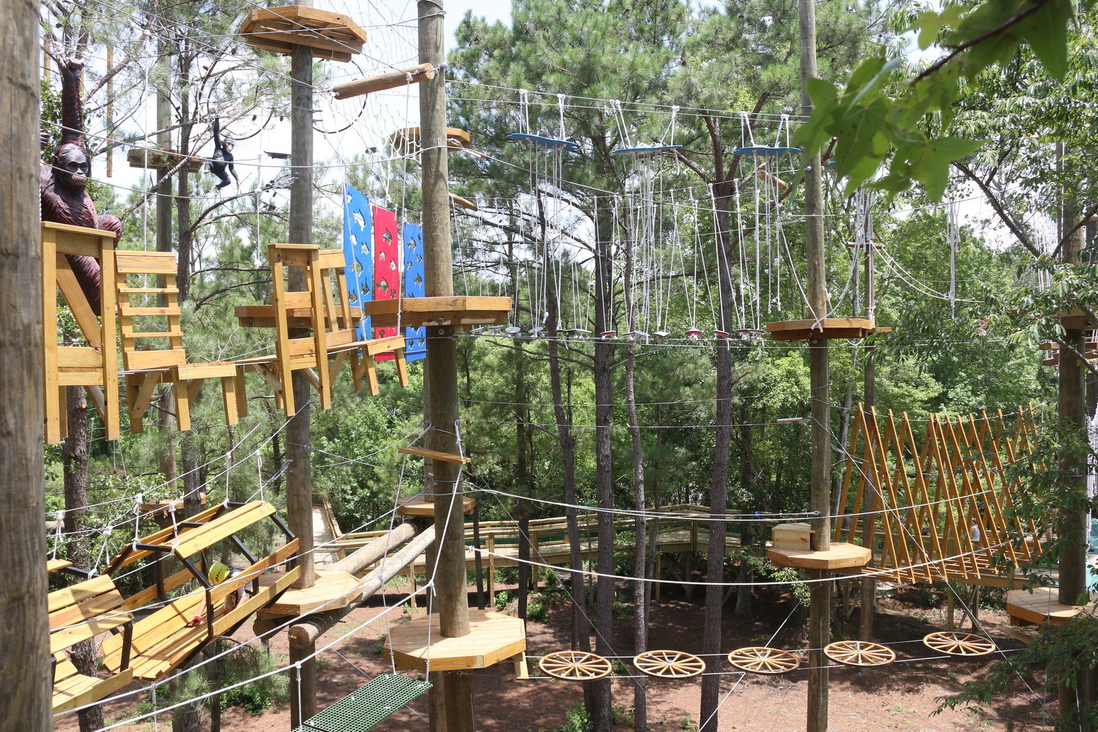 Shallotte River Swamp Park in Ocean Isle Beach, North Carolina - Kid ...