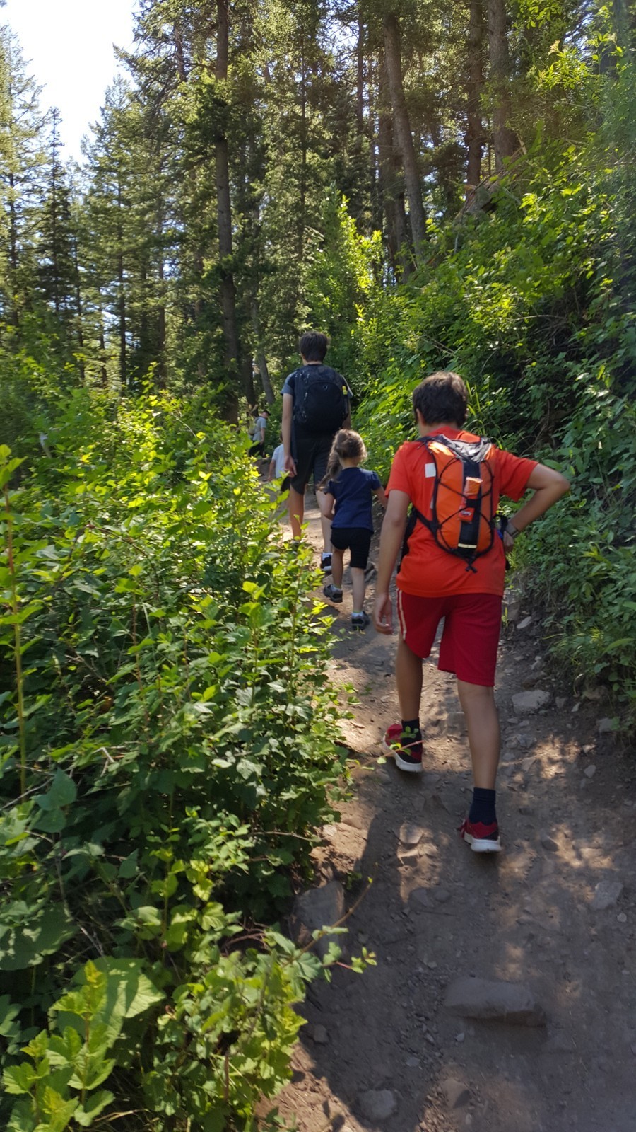 Stewart Falls in Provo, Utah Kidfriendly Attractions Trekaroo