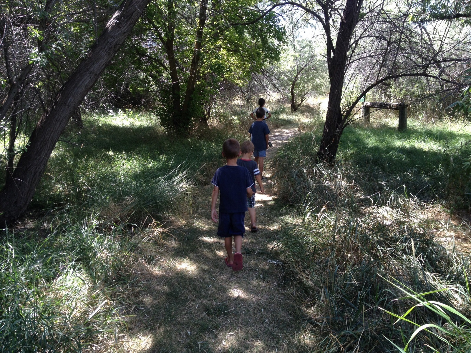 Ogden Nature Center: A Refuge For Nature Lovers