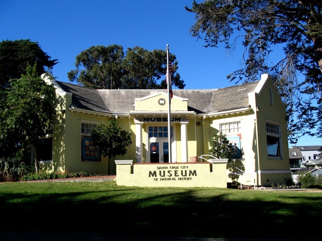 Remembering Castle Beach - Santa Cruz Museum of Natural History