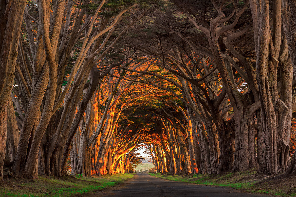 The Lodge at Point Reyes in Olema, California Kidfriendly Hotel