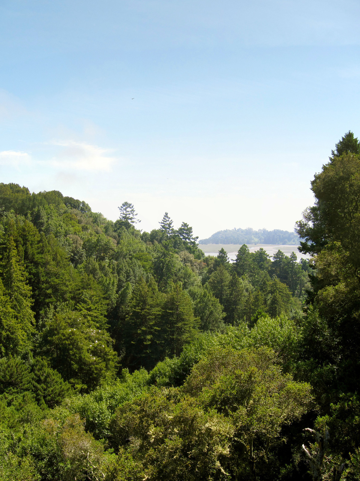 Audubon Canyon Ranch in Stinson Beach, California - Kid-friendly ...
