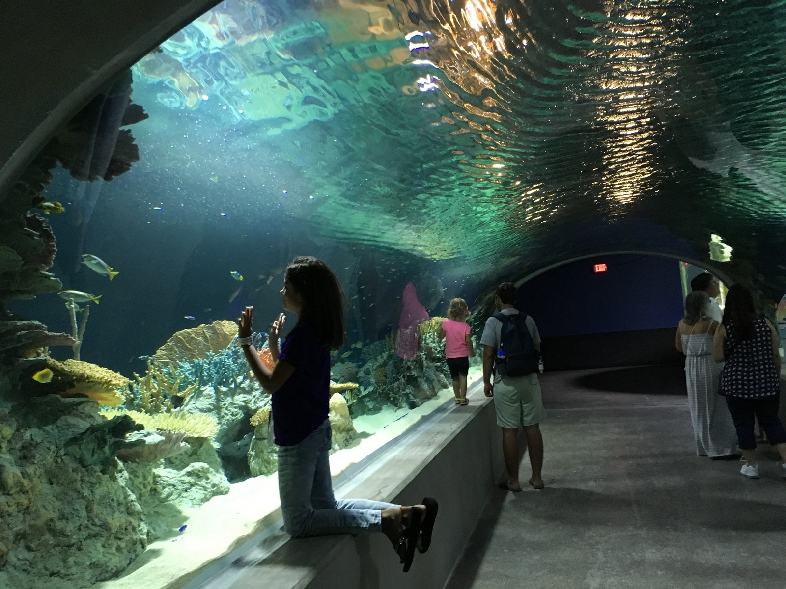 OdySea Aquarium in Scottsdale: 8 tips, things to know before you take kids
