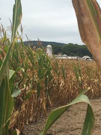 Summers Farm in Frederick, Maryland - Kid-friendly Attractions | Trekaroo