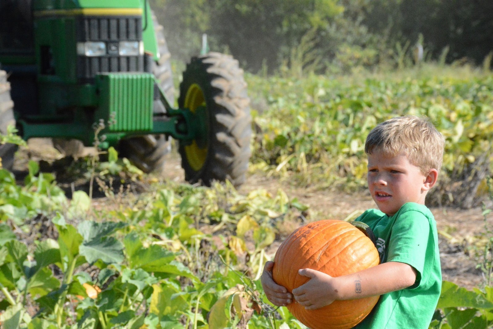 Summers Farm in Frederick, Maryland - Kid-friendly Attractions | Trekaroo