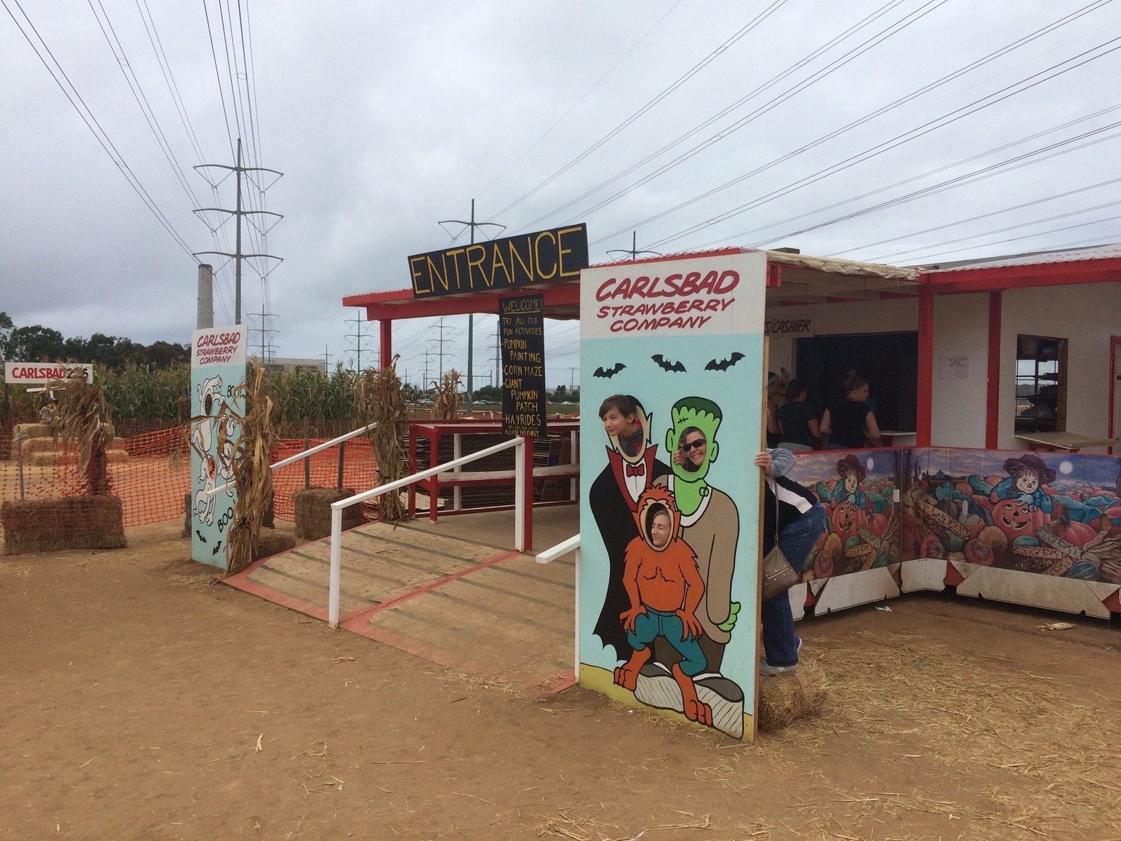 carlsbad strawberry company carlsbad strawberry company