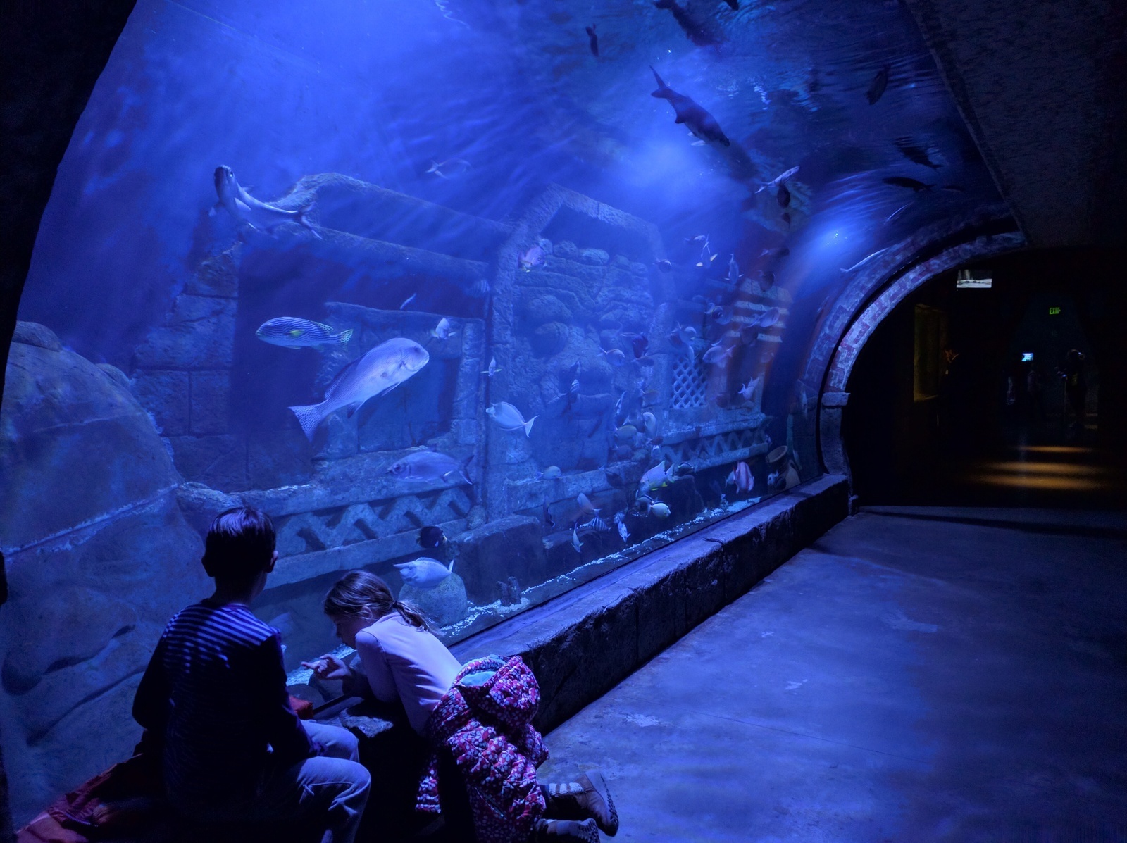 Downtown Aquarium in Houston, Texas - Kid-friendly Attractions