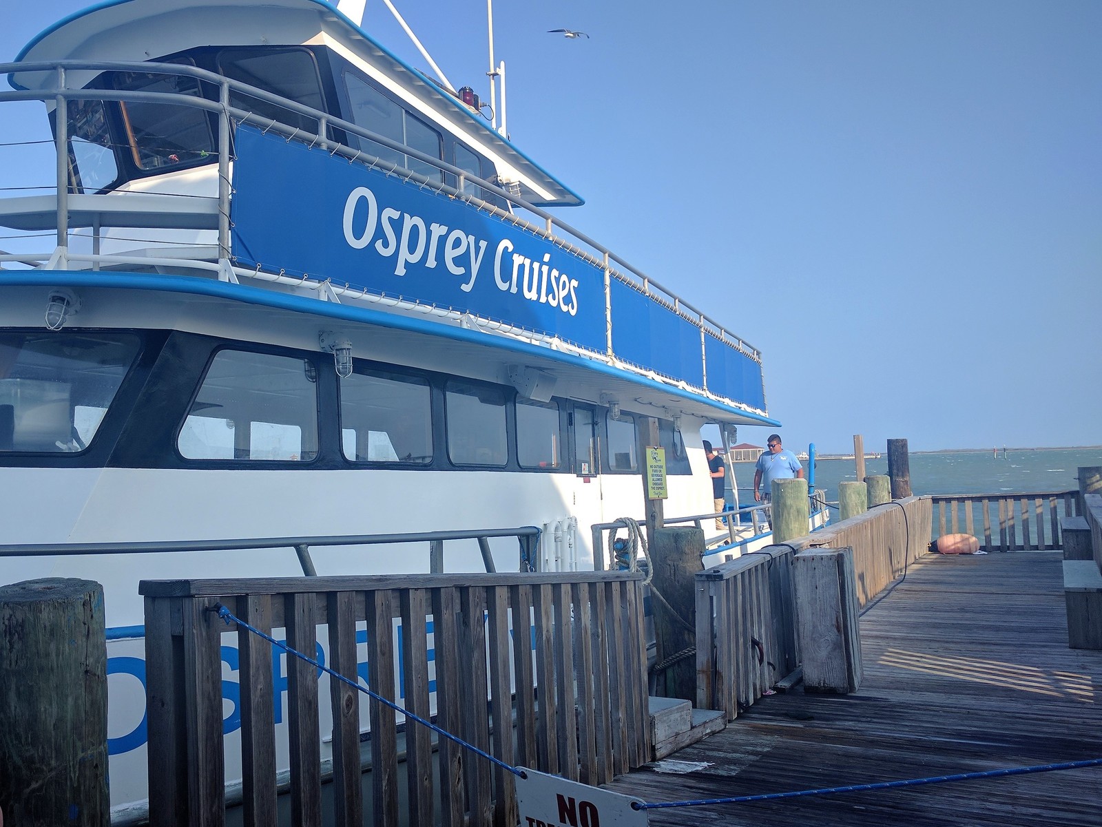 cruise texas