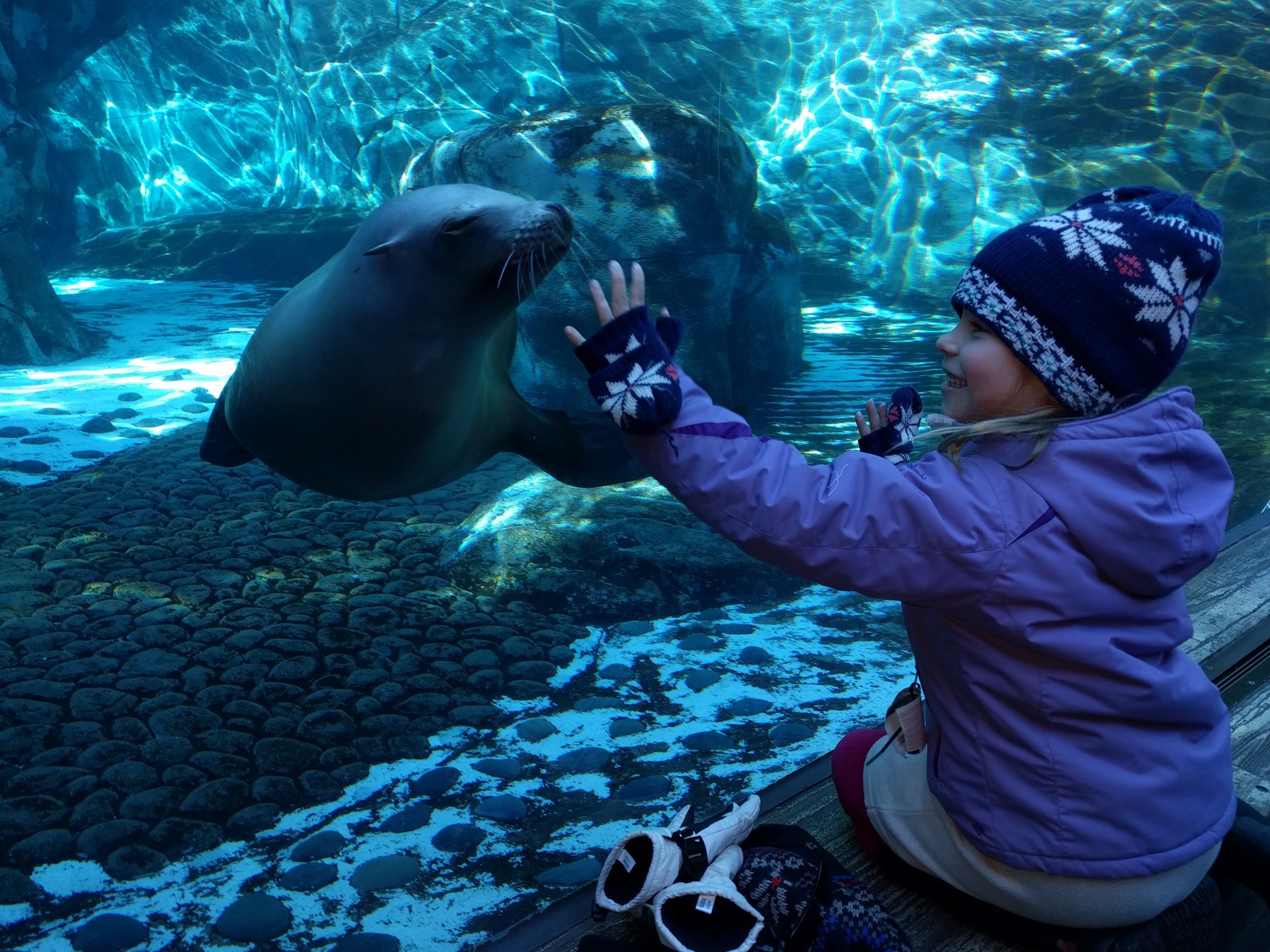 Saint Louis Zoo in Saint Louis, Missouri - Kid-friendly Attractions | Trekaroo
